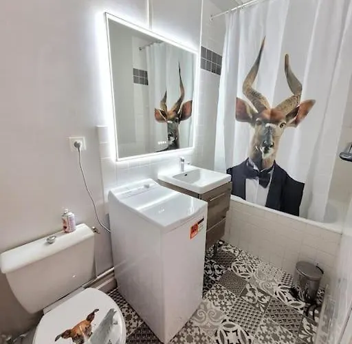 F1 Hyper Centre Apartment Clermont-Ferrand